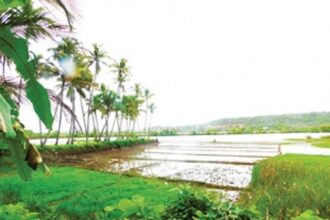 Greens want CZMP to be clear about the Khazan system, incorporate panel’s report