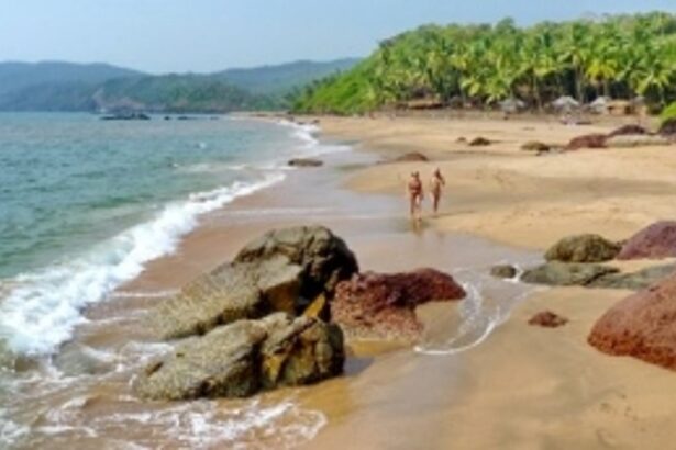 Ground truthing to authenticate objections, suggestions to CZMP