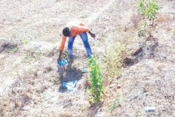 Group of Benaulim citizens turn garbage vigilantes to catch miscreants dumping waste on roads, fields