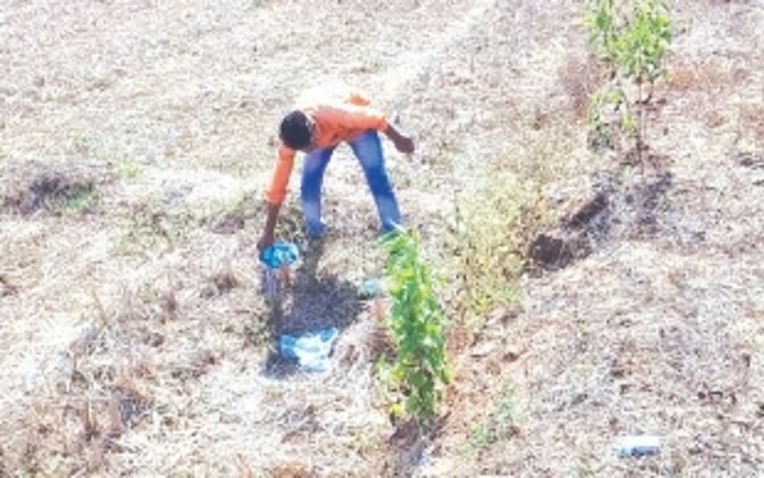 Group of Benaulim citizens turn garbage vigilantes to catch miscreants dumping waste on roads, fields