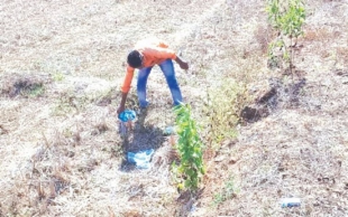 Group of Benaulim citizens turn garbage vigilantes to catch miscreants dumping waste on roads, fields