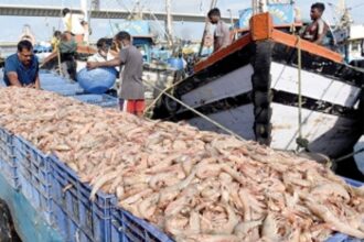 Group seeks govt’s mediation to  repatriate fishing sector migrants