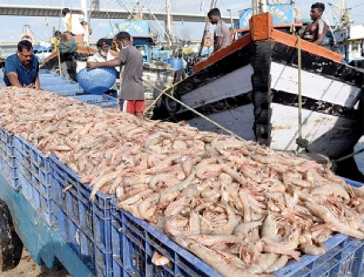 Group seeks govt’s mediation to  repatriate fishing sector migrants