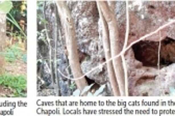 Growing chorus to declare Chapoli Hills as an Eco Sensitive Zone