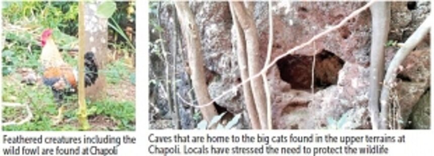 Growing chorus to declare Chapoli Hills as an Eco Sensitive Zone 1 Growing chorus to declare Chapoli Hills as an Eco Sensitive Zone