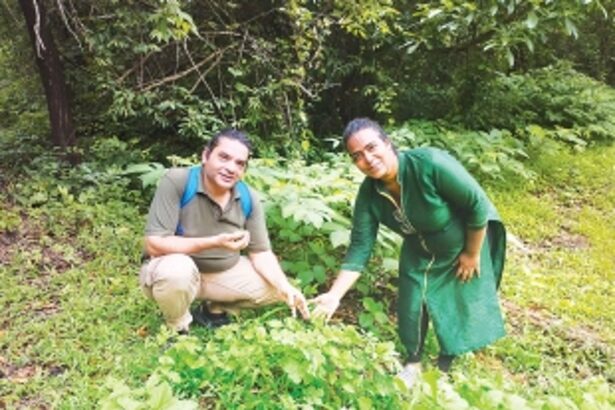 Guardian of the green: Maryanne Borges’ quest to preserve Goa’s forest paradise