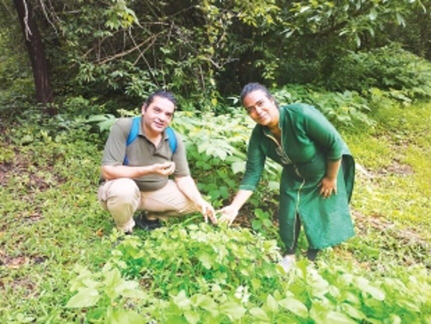 Guardian of the green: Maryanne Borges’ quest to preserve Goa’s forest paradise