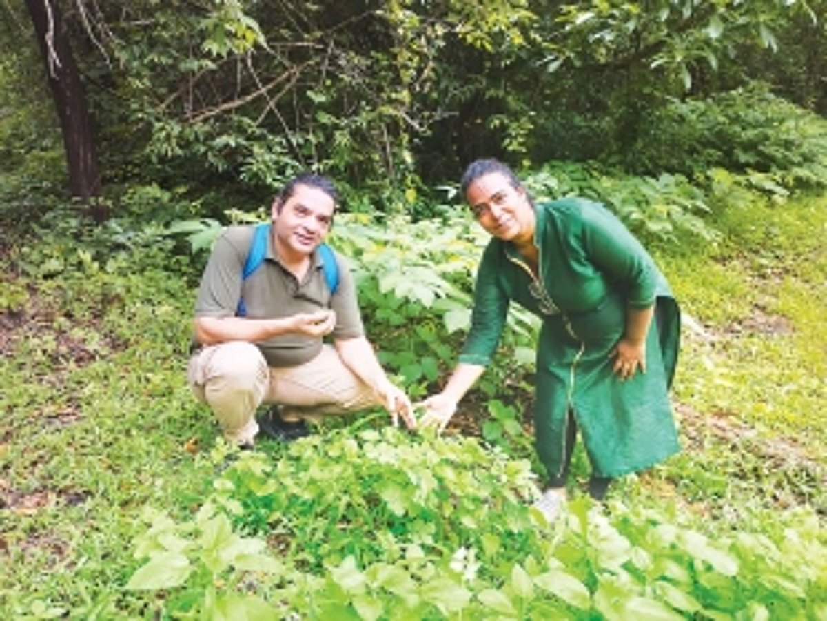 Guardian of the green: Maryanne Borges’ quest to preserve Goa’s forest paradise