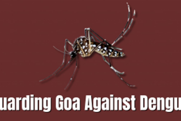 Guarding Goa Against Dengue: Identifying Aedes Mosquitoes and Prevention Strategies