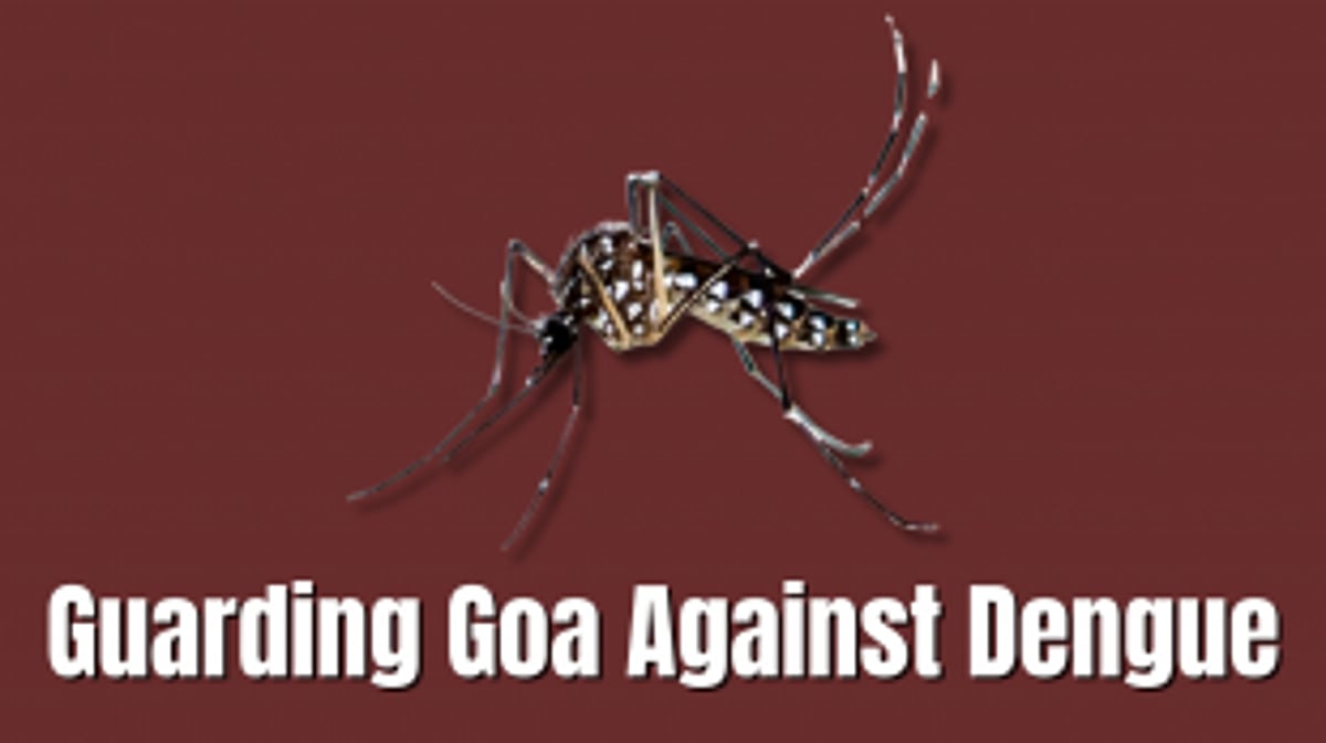 Guarding Goa Against Dengue: Identifying Aedes Mosquitoes and Prevention Strategies