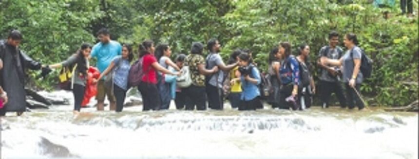 Gung-ho about wildlife tourism, govt plans to upgrade State’s wildlife sanctuaries