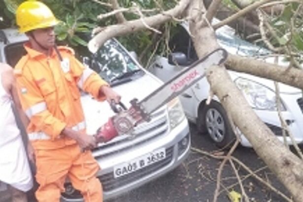 Gusty showers uproot trees, damage houses and vehicles in Ponda