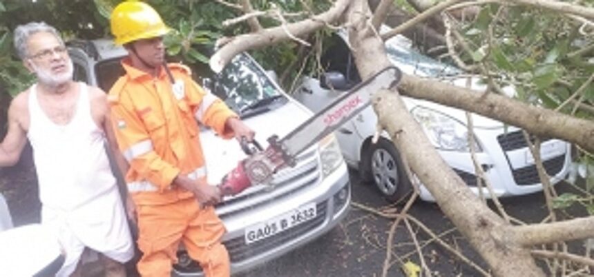 Gusty showers uproot trees, damage houses and vehicles in Ponda 1 Gusty showers uproot trees, damage houses and vehicles in Ponda