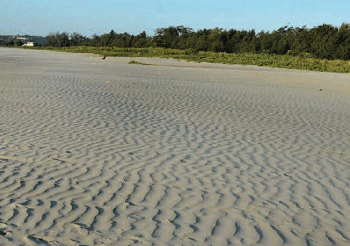Gusty winds etch a ripple effect on sand at Miramar Beach on Friday evening.