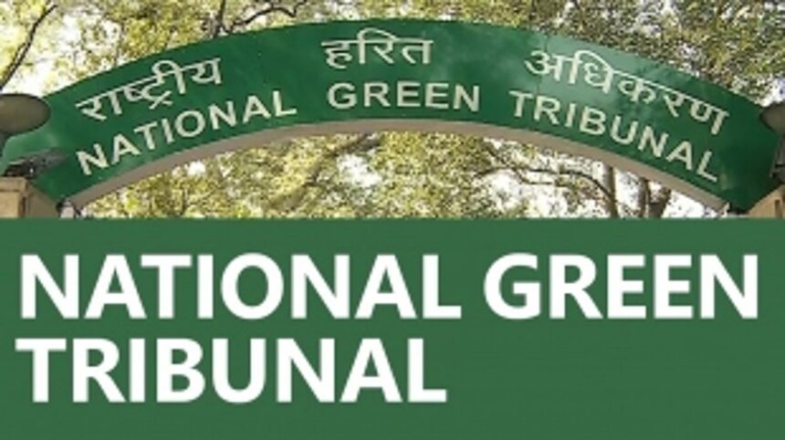 HC asks National Green Tribunal to set up circuit branch in Goa to hear environmental matters 1 HC asks National Green Tribunal to set up circuit branch in Goa to hear environmental matters