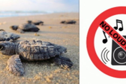 HC directs beach resort in Ashvem to stop playing loud music