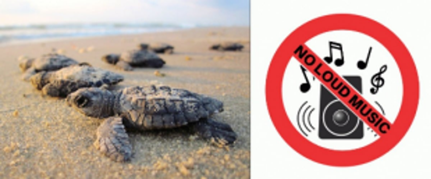 HC directs beach resort in Ashvem to stop playing loud music