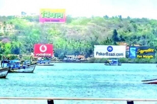 HC directs landowners, companies to cover hoardings in NDZ at Betim