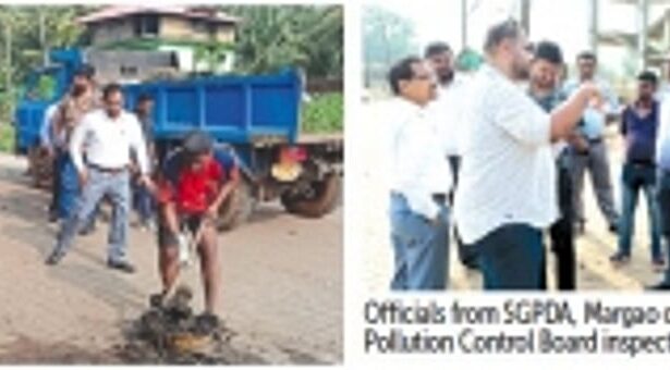 HC orders joint inspection to evaluate cleanliness at Margao’s wholesale fish market