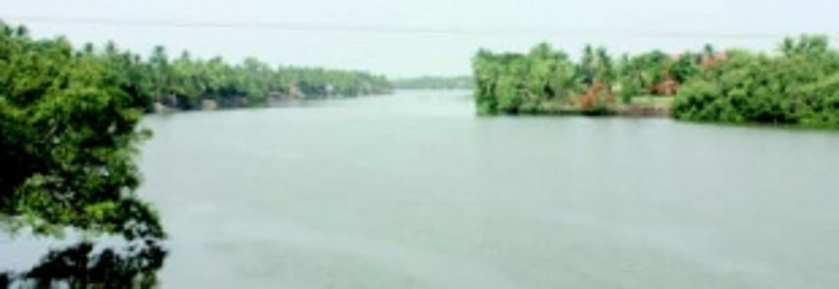 HC takes cognisance of pollution caused to River Sal