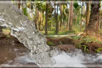 HERALD IMPACT: Horticulture Farm in Goa Revived After Water Scarcity Issue Is Addressed