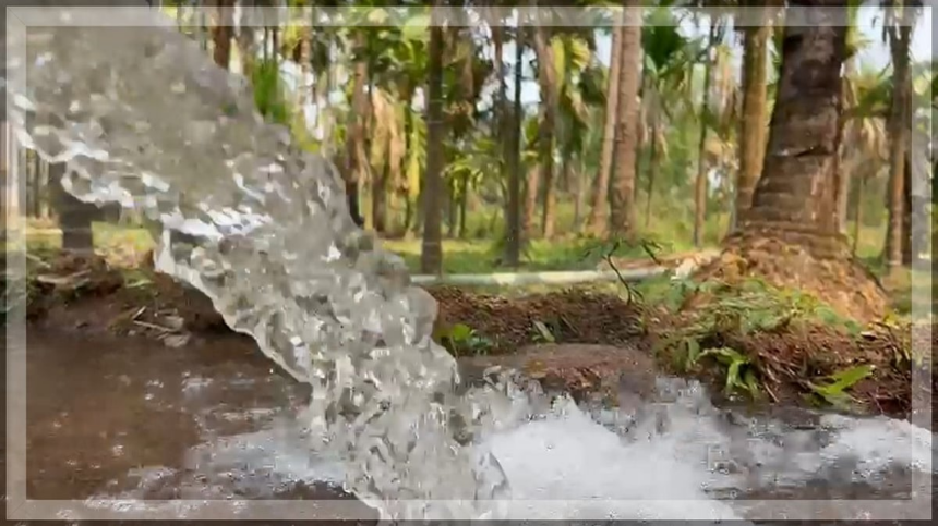 HERALD IMPACT: Horticulture Farm in Goa Revived After Water Scarcity Issue Is Addressed 1 HERALD IMPACT: Horticulture Farm in Goa Revived After Water Scarcity Issue Is Addressed