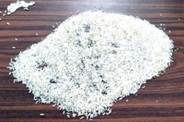 HUMANITY SINKS TO A GREATER LOW: After maggots, now ‘plastic rice’ for poor ration cardholders