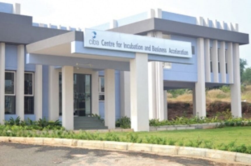 Hand holding, mentoring young entrepreneurs by CIBA paying off