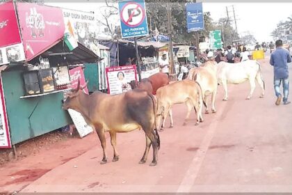 Handcarts, kiosks by roadside
pose nuisance at CHOGM road