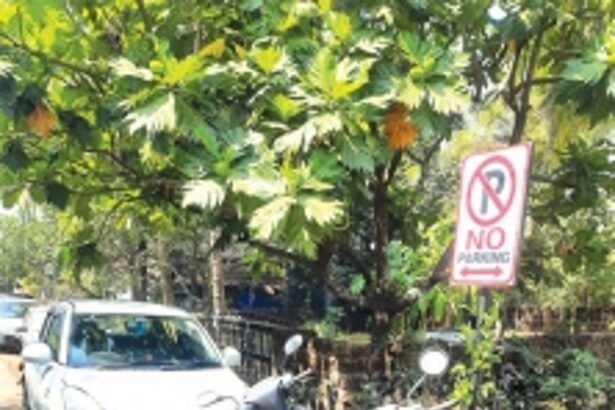 Haphazard parking near  Fr Agnel Ashram, Verna