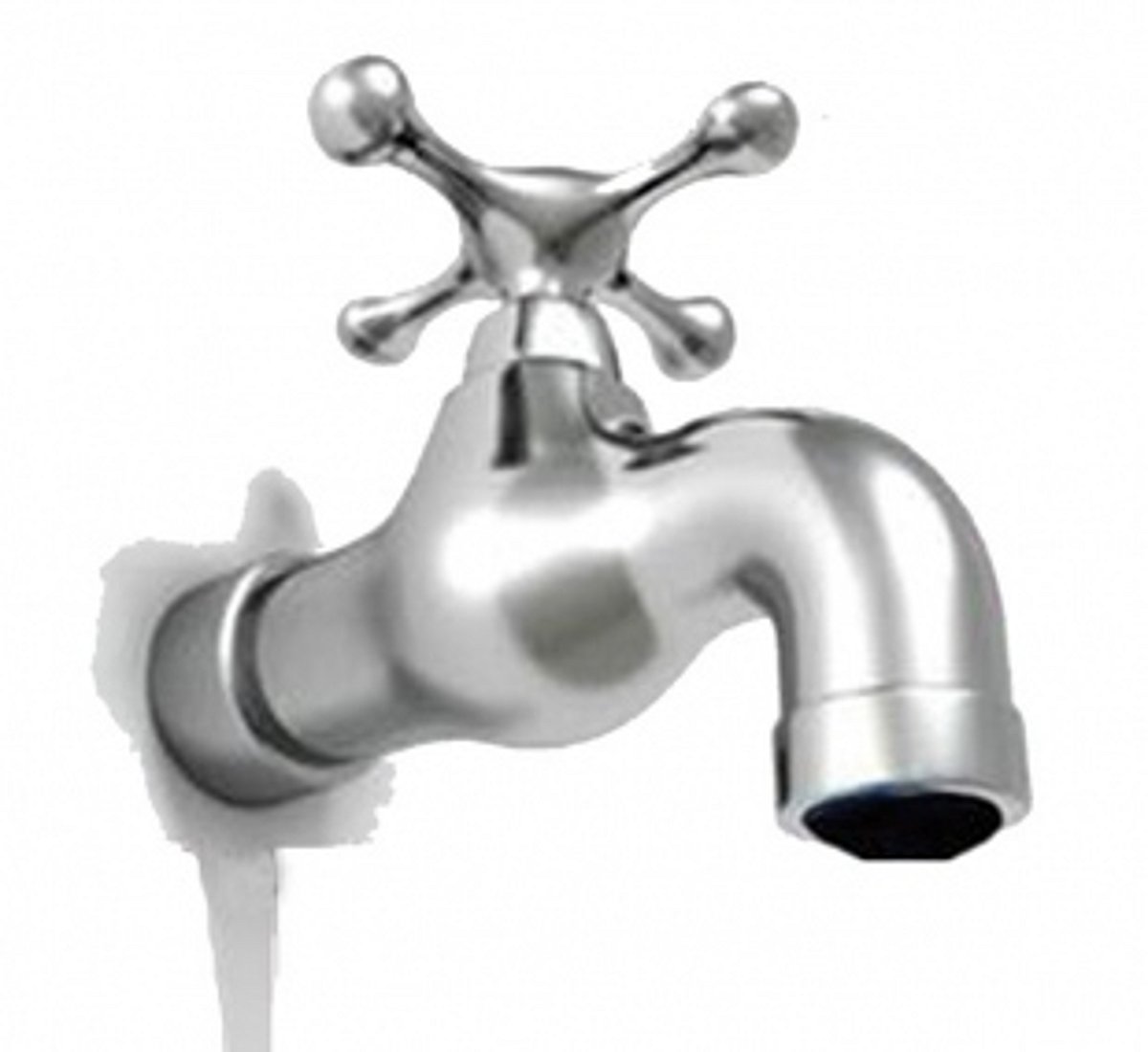 Har Ghar Jal, a piped dream? Tap in every rural home says govt, but locals still cry about  water shortage