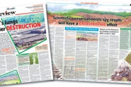 Hard facts: How Goa’s forests, wildlife and identity was signed away as you remained indoors