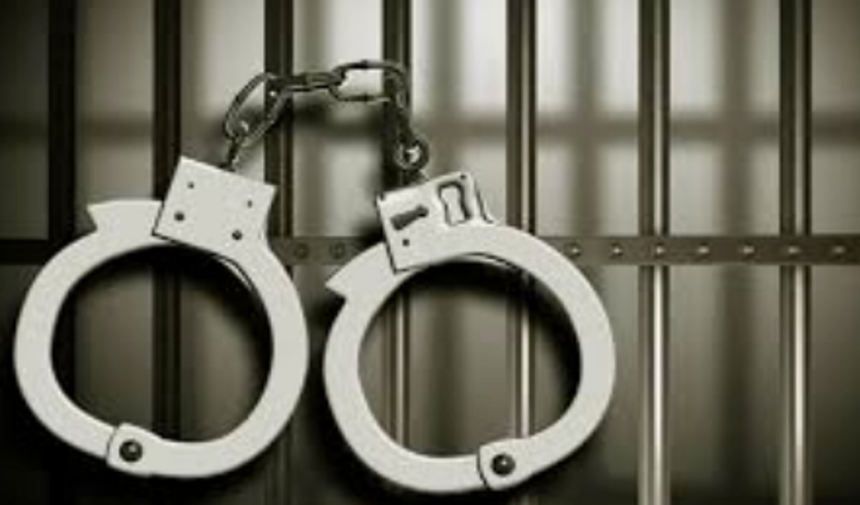 Haryana Native Arrested for Theft of Two-Wheeler and Cash from Cortalim Fast Food Outlet