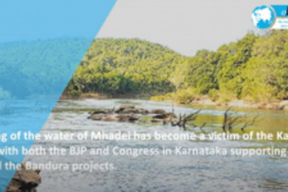 Has Mhadei become a victim of internal politics of Karnataka? What are the consequences?