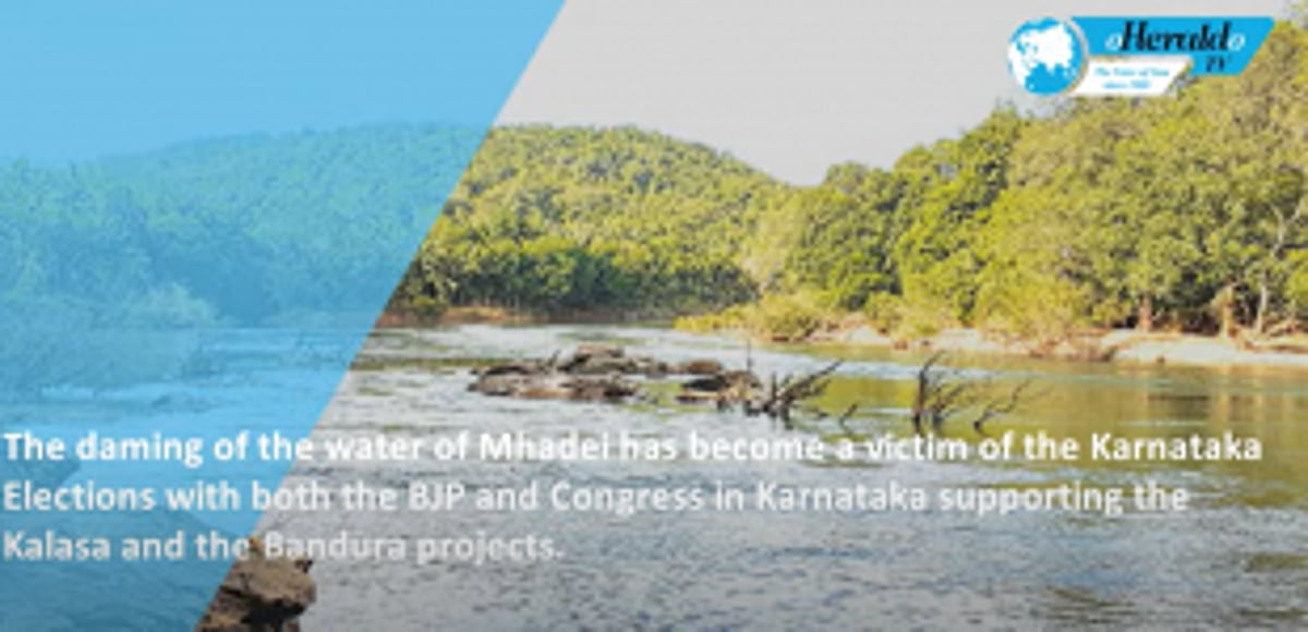 Has Mhadei become a victim of internal politics of Karnataka? What are the consequences?