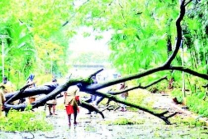 Has Panjim really moved towards becoming a Smart City?