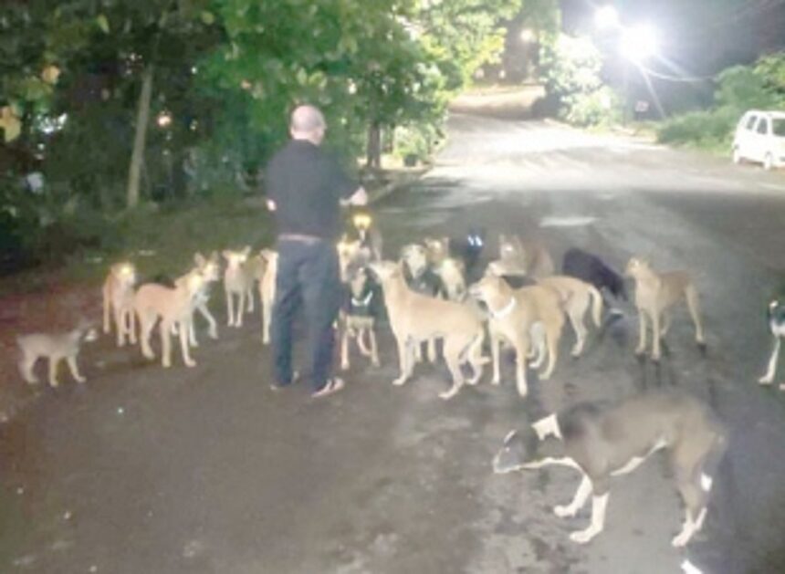 Has govt authorities failed to control dog population? 1 Has govt authorities failed to control dog population?