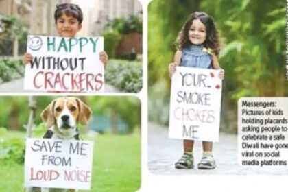 Have a blast without a firecracker this Diwali