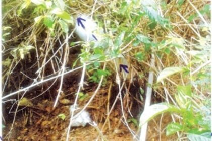 Hazardous work carried out by  sanitary section, water dept in Panjim