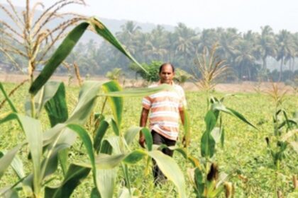 He is a “mechanical” farmer