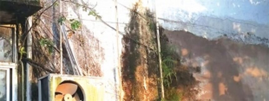 Health Directorate faces backlash from Margao citizens for failure to maintain Hospicio 1 Health Directorate faces backlash from Margao citizens for failure to maintain Hospicio