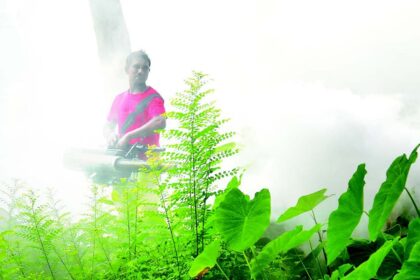 Health officials urge citizens to maintain vigilance, cleanliness as dengue cases surface in Margao