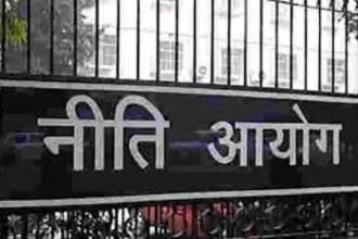 Healthcare is not a T20 match: Niti Ayog advisor