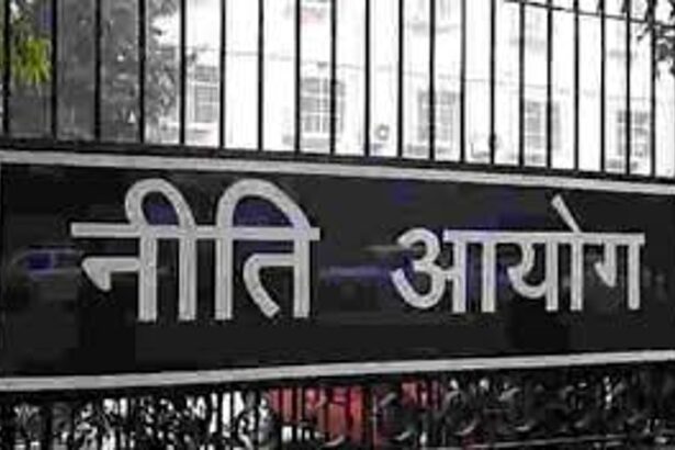 Healthcare is not a T20 match: Niti Ayog advisor
