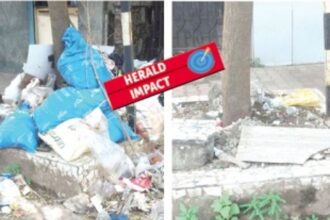Heap of garbage at a tree base in Vasco cleared