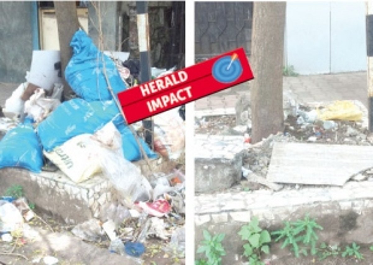 Heap of garbage at a tree base in Vasco cleared