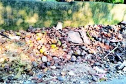 Heaps of dumped coconut shells create unsightly black spots across Margao