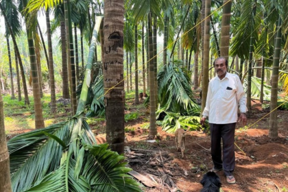Heavy Rain and Winds Cause Significant Damage to Farms in Vichundrem, Netravali
