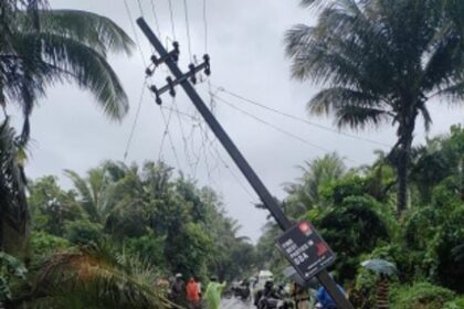 Heavy Rains and Strong Winds Uproot Trees, Block Roads in Pernem