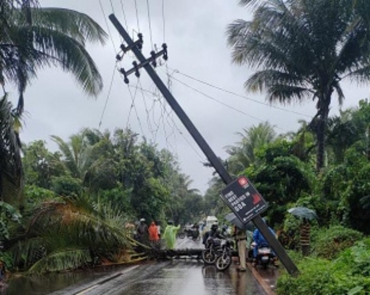 Heavy Rains and Strong Winds Uproot Trees, Block Roads in Pernem